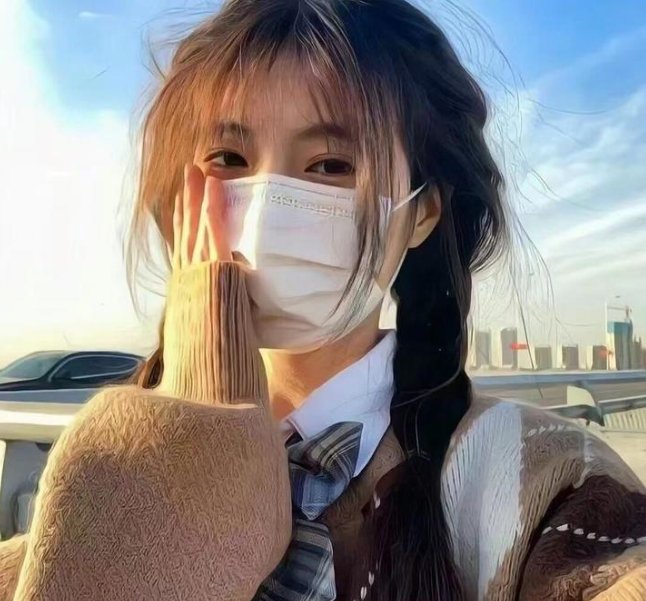 完美计划