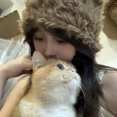 政治之爱
